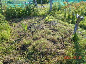 陸前高田ひろば20200620052.jpg