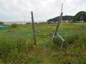 陸前高田ひろば20200627001.jpg