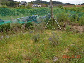 陸前高田ひろば20200627005.jpg