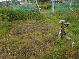 陸前高田ひろば20200627009.jpg