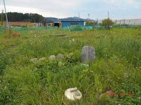 陸前高田ひろば20200627013.jpg