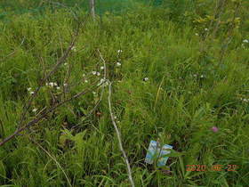陸前高田ひろば20200627025.jpg