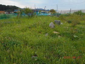 陸前高田ひろば20200627030.jpg