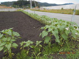 陸前高田ひろば20200627056.jpg