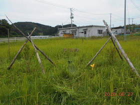 陸前高田ひろば20200627060.jpg