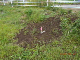 陸前高田ひろば20200627061.jpg