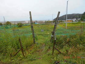 陸前高田ひろば20200704001.jpg