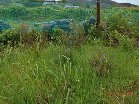 陸前高田ひろば20200704004.jpg