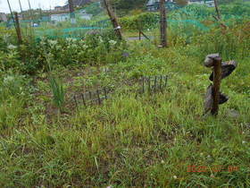 陸前高田ひろば20200704005.jpg
