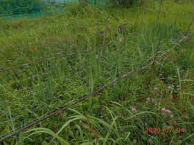陸前高田ひろば20200704022.jpg