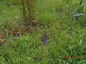 陸前高田ひろば20200704035.jpg