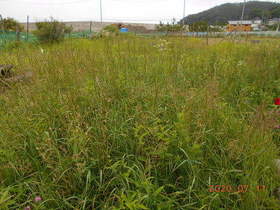 陸前高田ひろば20200711012.jpg