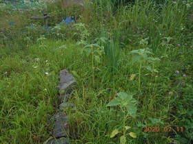 陸前高田ひろば20200711035.jpg