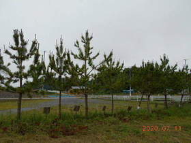 陸前高田ひろば20200711039.jpg