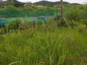 陸前高田ひろば20200724006.jpg