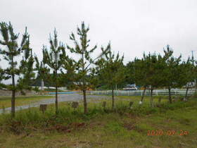 陸前高田ひろば20200724028.jpg