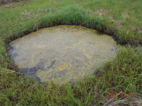 陸前高田ひろば20200724029.jpg