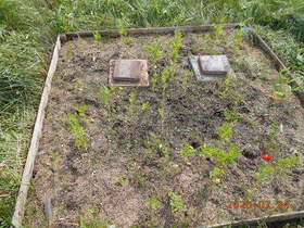 陸前高田ひろば20200724036.jpg
