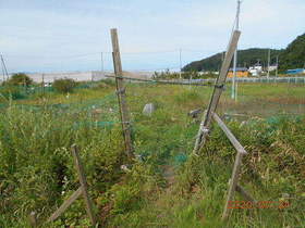 陸前高田ひろば20200724037.jpg