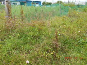 陸前高田ひろば20200801016.jpg