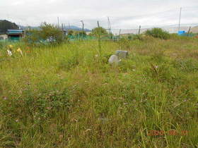 陸前高田ひろば20200801023.jpg