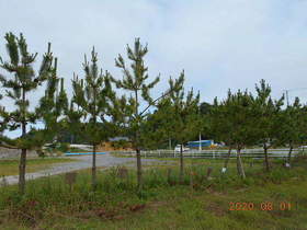 陸前高田ひろば20200801034.jpg