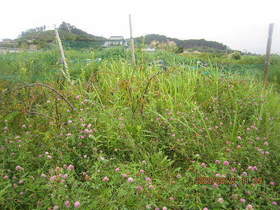 陸前高田ひろば20200822004.jpg