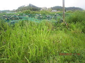 陸前高田ひろば20200822005.jpg