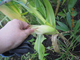 陸前高田ひろば20200822007.jpg