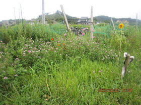陸前高田ひろば20200822008.jpg
