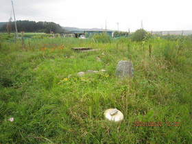 陸前高田ひろば20200822010.jpg