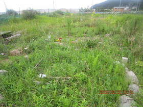 陸前高田ひろば20200822013.jpg