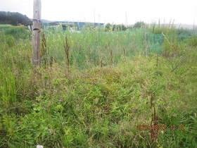 陸前高田ひろば20200822019.jpg