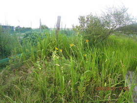 陸前高田ひろば20200822021.jpg