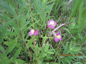 陸前高田ひろば20200822022.jpg