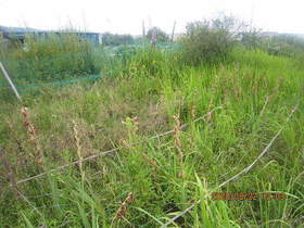 陸前高田ひろば20200822023.jpg