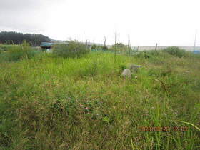 陸前高田ひろば20200822025.jpg