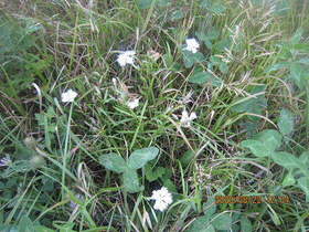 陸前高田ひろば20200822028.jpg