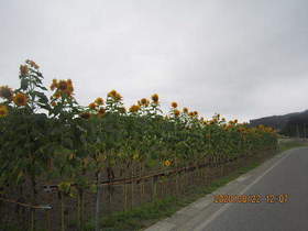 陸前高田ひろば20200822037.jpg