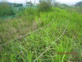 陸前高田ひろば20200822040.jpg