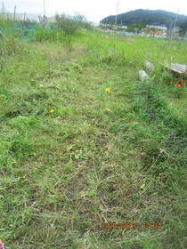 陸前高田ひろば20200822041.jpg