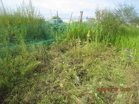 陸前高田ひろば20200822043.jpg