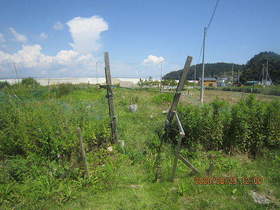 陸前高田ひろば20200829001.jpg