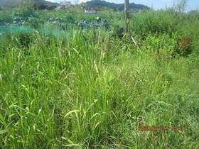 陸前高田ひろば20200829005.jpg