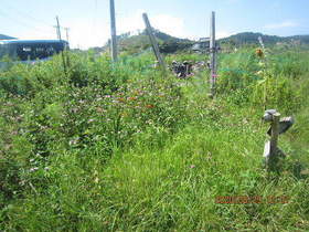 陸前高田ひろば20200829006.jpg