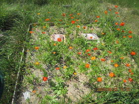 陸前高田ひろば20200829015.jpg