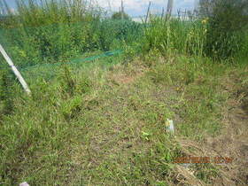 陸前高田ひろば20200829020.jpg