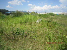 陸前高田ひろば20200829024.jpg