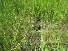 陸前高田ひろば20200829025.jpg