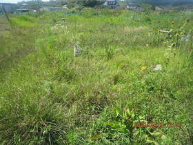 陸前高田ひろば20200829028.jpg